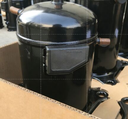 কেনা নতুন অরিজিনাল কোপল্যান্ড কম তাপমাত্রা রেফ্রিজারেশন সংক্ষেপকগুলি ZF49KQE-TFD-564 online manufacture