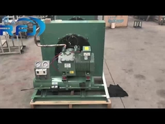 2HP সেমি-বন্ধ নিম্ন তাপমাত্রা বায়ু-শীতল কনডেনসিং ইউনিট