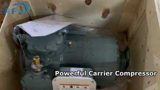 ক্যারিয়ার 06DH5372BC1250 কম্প্রেসার হাই টেম্প R22 25HP